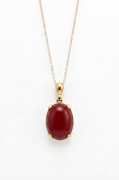 Minimalist Oval Tasarım Mercan Taşlı Kadın Gümüş Kolye Altın Rengi